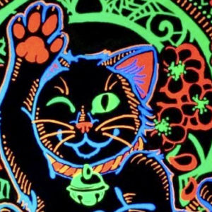 China Cat Sunflower – VIDEO