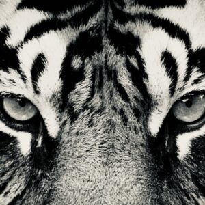 We All Fall Down – VIDEO